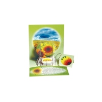 Felicitare 3D tip glob-Floarea soarelui