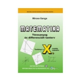 Matematica Limba Maghiara (TC-CD). Clasa a X-a