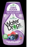 Water Drops cu Fructe de Padure 48ml