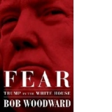 Fear. Trump in the White House