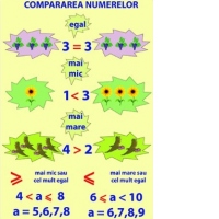 Plansa Compararea numerelor 500x700 mm
