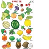 Plansa: Fructe