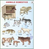 Plansa: Animale domestice