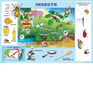 Plansa: Insecte / Meserii