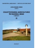 Colectivizarea agriculturii in raionul Brad: regiunea Hunedoara: marturii. Volumul II