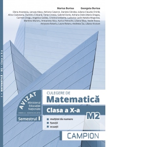 Culegere de matematica M2. Clasa a X-a, semestrul I. Multimi de numere, functii, ecuatii