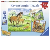 PUZZLE ANIMALE SI PUI, 3X49 PIESE