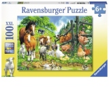 Puzzle animale, 100 piese