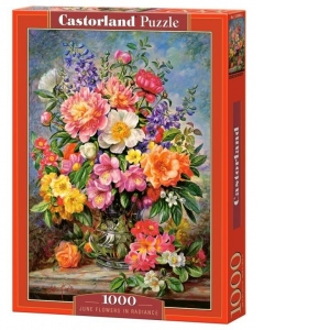 Puzzle Castorland 1000 piese Flori de iunie