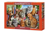 Puzzle Castorland 2000 piese Casa cu Pisici