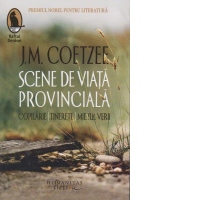 Scene de viata provinciala. Copilarie. Tinerete. Miezul verii