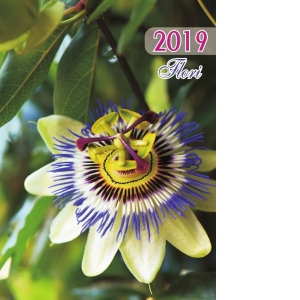 Calendar de perete ilustrat 2019 cu imagini cu Flori