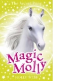 Magic Molly: The Secret Pony