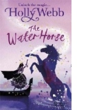 A Magical Venice story: The Water Horse