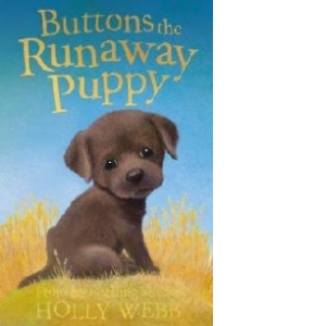 Buttons the Runaway Puppy