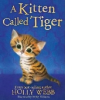 Kitten Called Tiger
