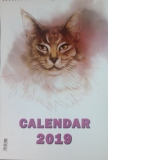 Calendar Pisici 2019