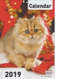 Calendar perete 2019 - Pisici (format A4)