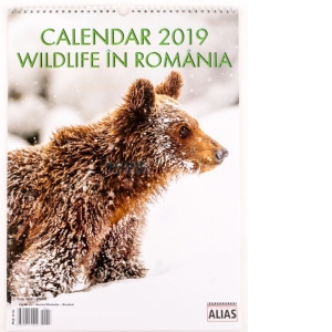 Calendar Wildlife 2019 - format mare, de perete, spiralat, 12+1 file