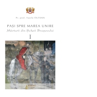 Pasi spre Marea Unire: marturii din Scheii Brasovului. Volumul I
