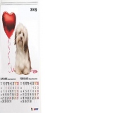 Calendar A3 Caini 2019