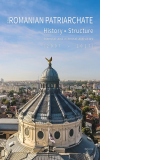 The Romanian Patriarchate: history, structure, internal and external activities: (2007-2017)