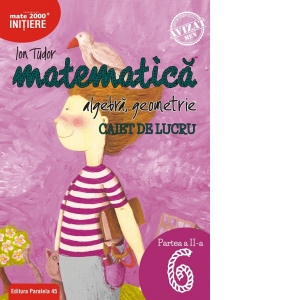 Matematica. Algebra, geometrie. Caiet de lucru. Clasa a VI-a. Initiere. Partea a II-a