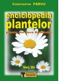 Enciclopedia plantelor (vol.III) - Plante din flora Romaniei (M - Pe)