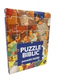 Puzzle biblic. Povestiri alese