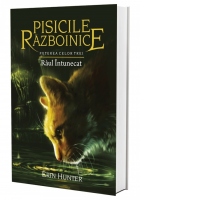 Pisicile Razboinice. Puterea celor trei. Cartea a XIV-a: Raul intunecat (volum 14)