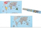 Harta razuibila OOTB. Harta lumii