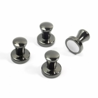 Magnet MINI MAX (4 buc set)