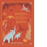 Journey to the Center of the Earth (Barnes & Noble Children'