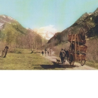Vedere : Transportul carutelor