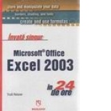 Invata singur Microsoft Office Excel 2003