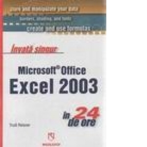 Invata singur Microsoft Office Excel 2003