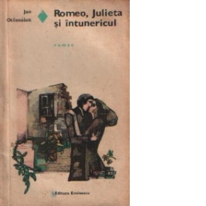 Romeo, Julieta si intunericul - Roman