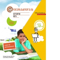 Scrisorile verii. Caiet de antrenament pentru limba si literatura romana. Clasa a VI-a