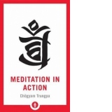 Meditation in Action