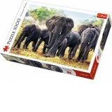 Puzzle 1000 Elefanti Africani
