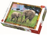 Puzzle 3000 Elefanti in Savana