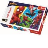 Puzzle Trefl 30 Spiderman si Miguel