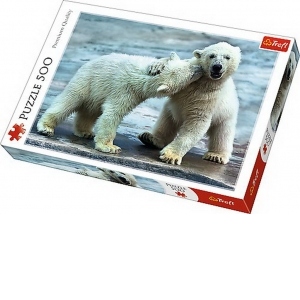 Puzzle 500 Ursi Polari
