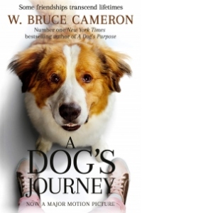 Dog's Journey