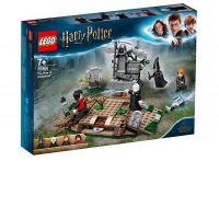Ascensiunea lui Voldemort (75965)
