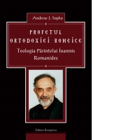 Profetul Ortodoxiei Romeice, Teologia Parintelui Ioannis Romanides