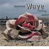 Dominant Wave, Theory