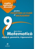 Culegere Matematica: algebra, geometrie, trigonometrie. Clasa a IX-a, pentru pregatirea la clasa si bacalaureat