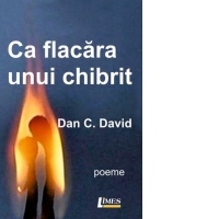 Ca flacara unui chibrit
