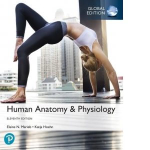 Human Anatomy & Physiology, Global Edition. 11th Edition